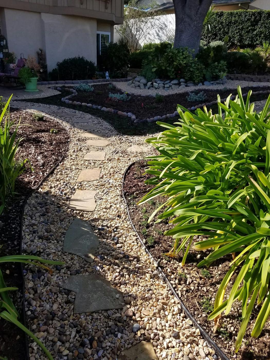 Garden with fuller plant growth