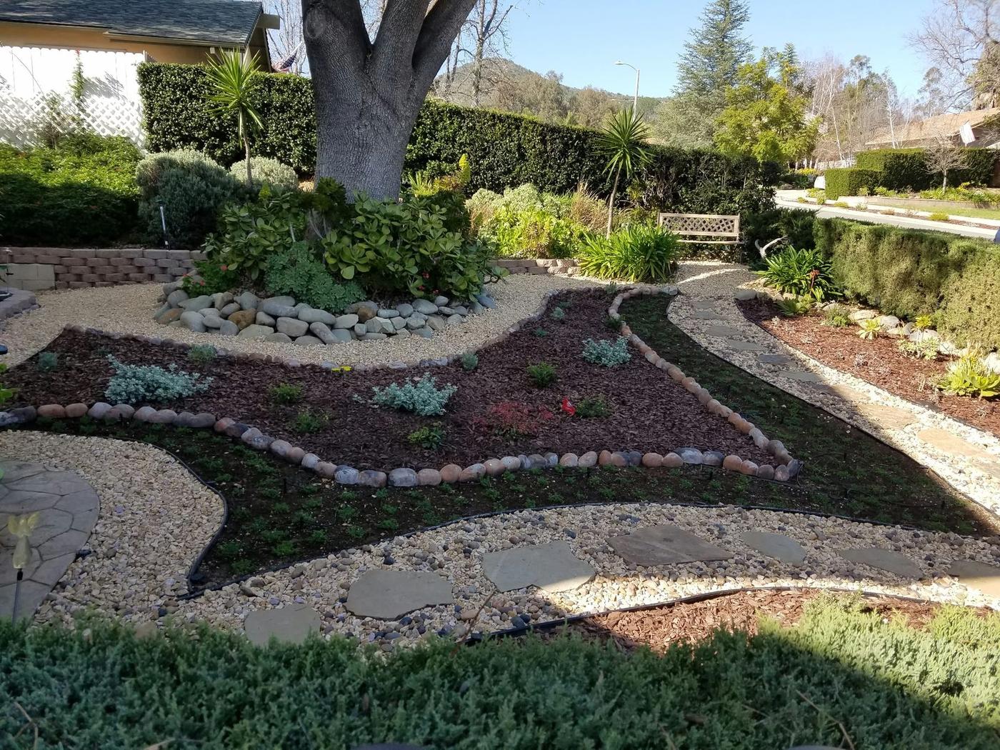Established residential garden